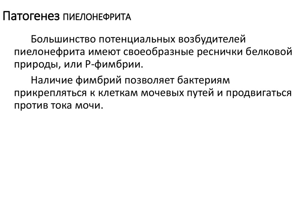 Заболевания почек у детей - online presentation