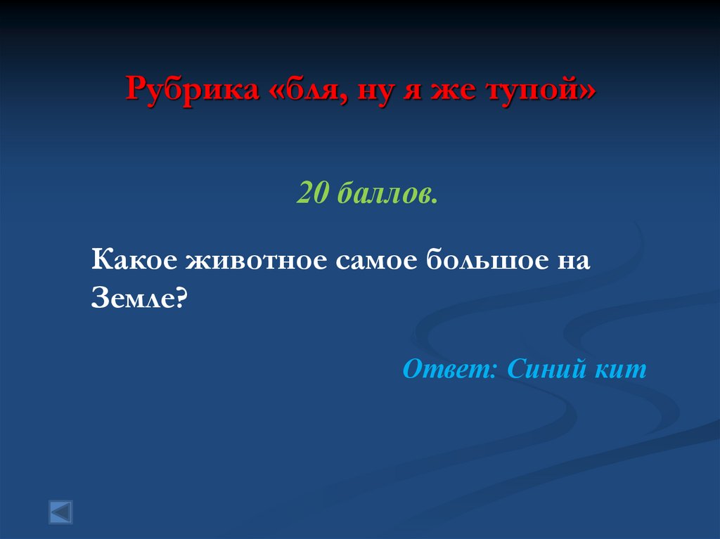 Рубрика «бля, ну я же тупой»