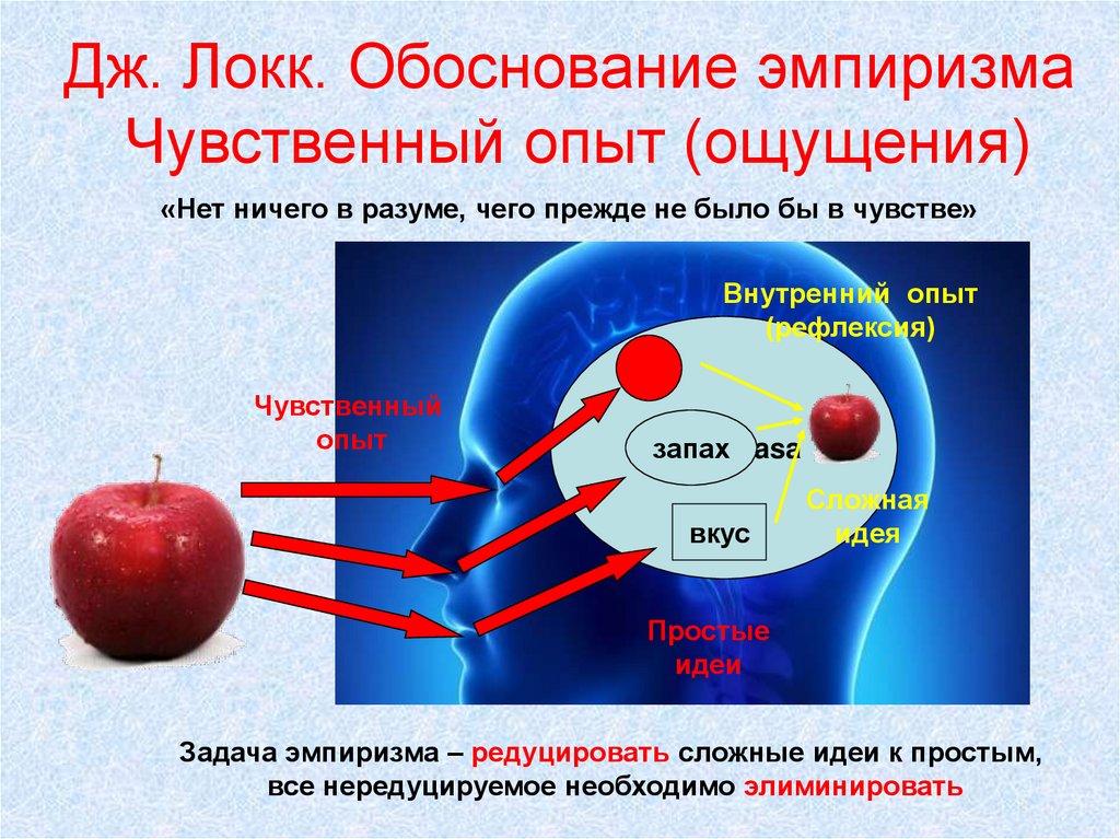 Эксперименты ощущения