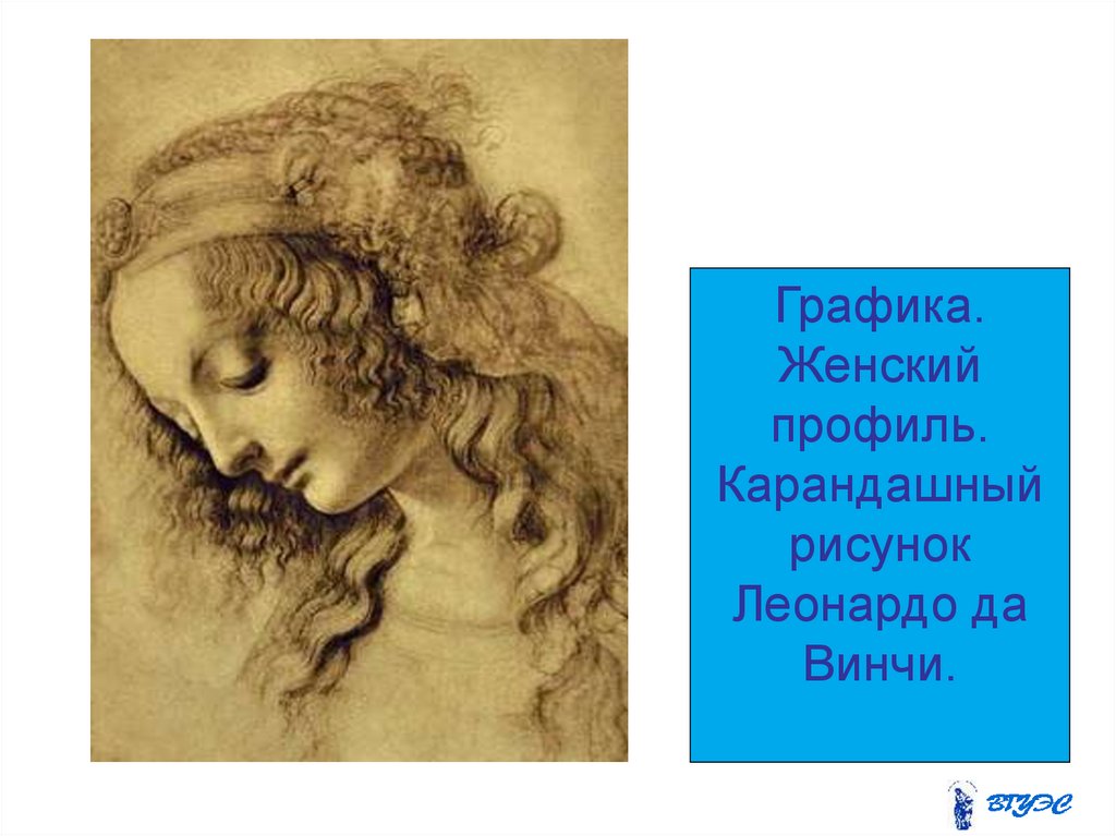 Графика. Женский профиль. Карандашный рисунок Леонардо да Винчи.