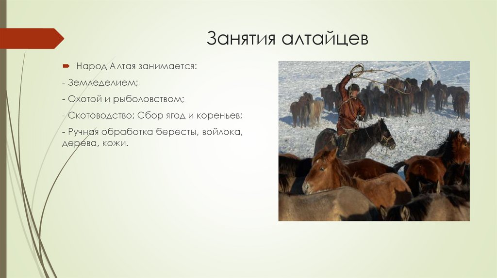 Алтайцы - презентация онлайн