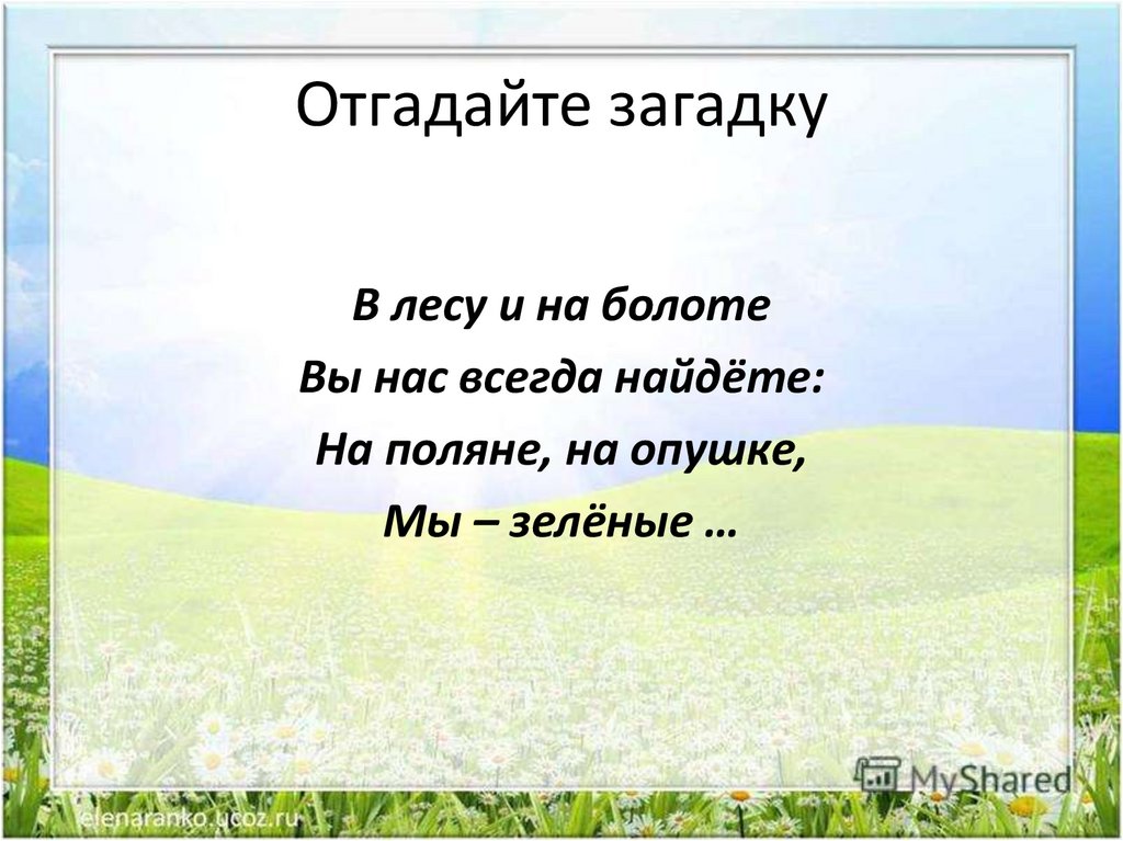 Жизнь земноводных весной 1 класс 21 век конспект урока с презентацией