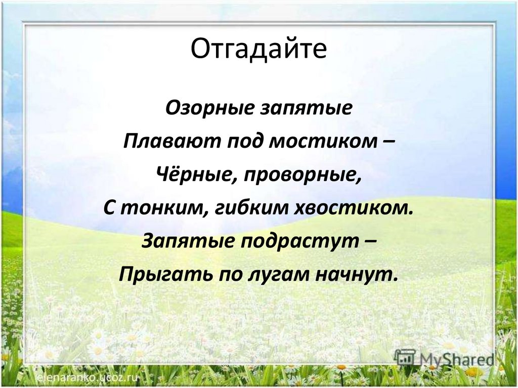 Жизнь земноводных весной 1 класс 21 век конспект урока с презентацией