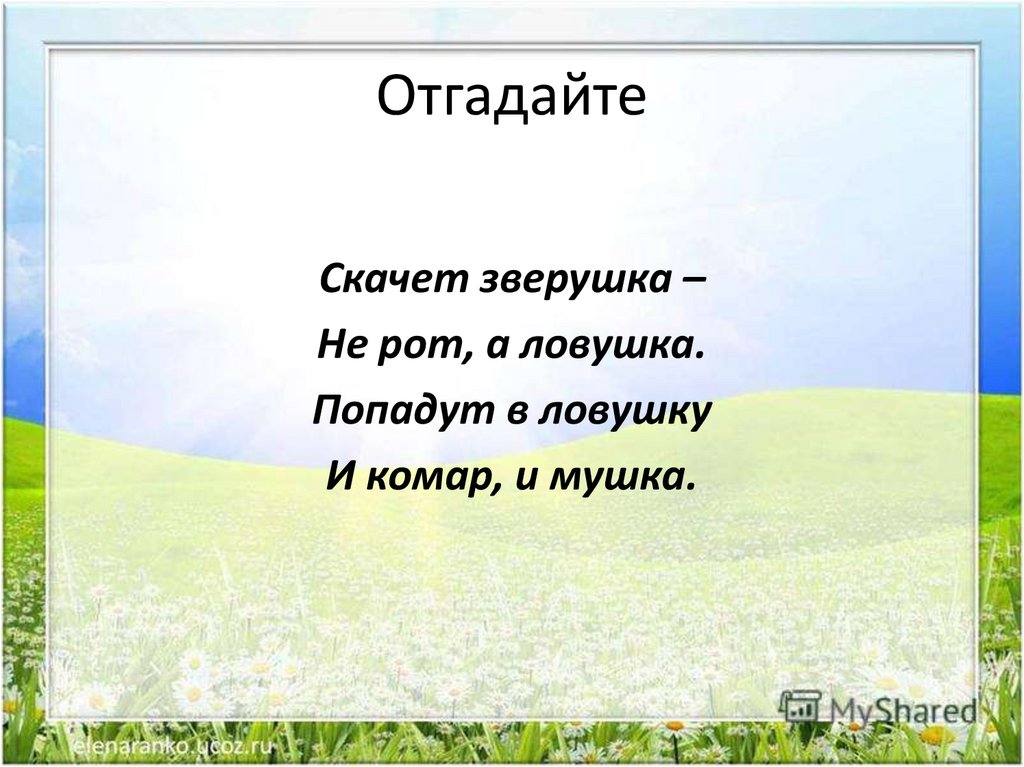 Презентация по окружающему миру 1 класс жизнь земноводных весной школа 21 века