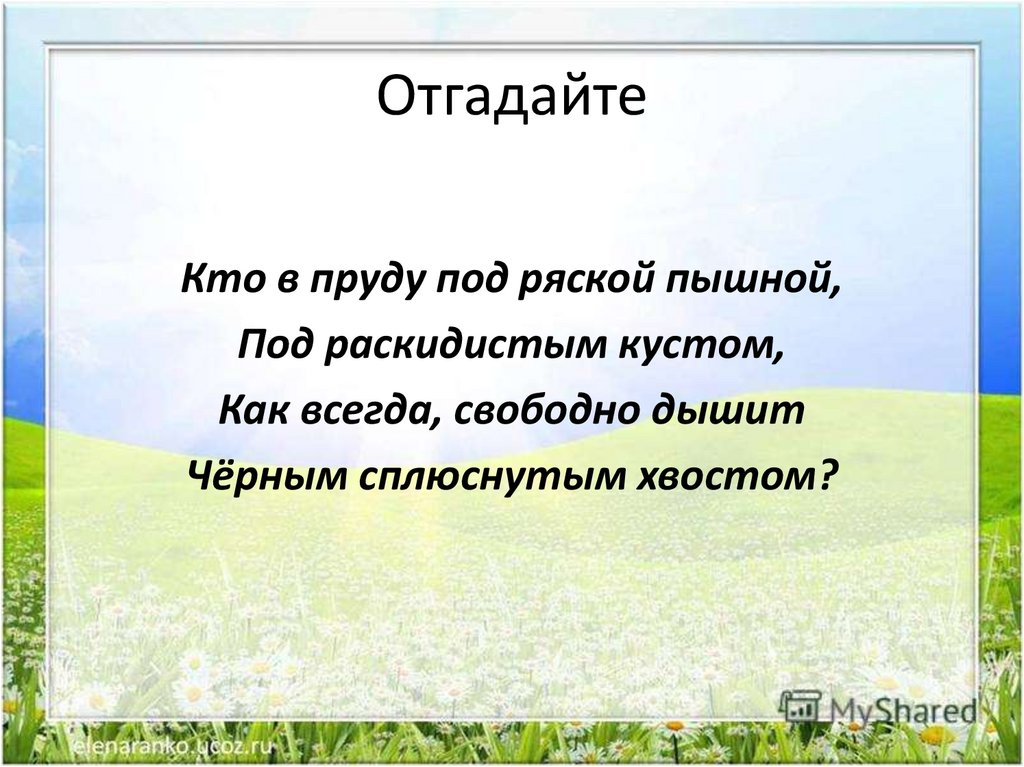 Презентация по окружающему миру 1 класс жизнь земноводных весной школа 21 века