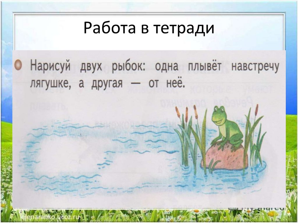 Презентация по окружающему миру 1 класс жизнь земноводных весной школа 21 века