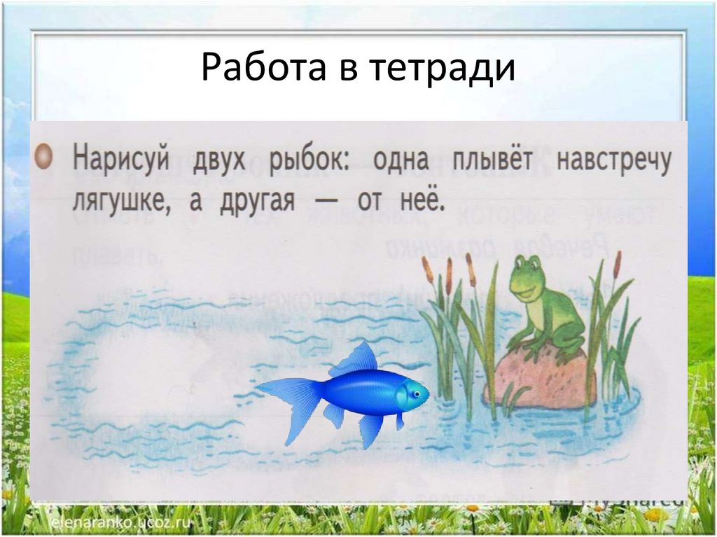 Презентация по окружающему миру 1 класс жизнь земноводных весной школа 21 века