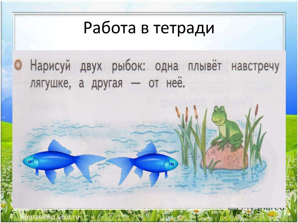 Жизнь земноводных весной презентация 1 класс 21 век