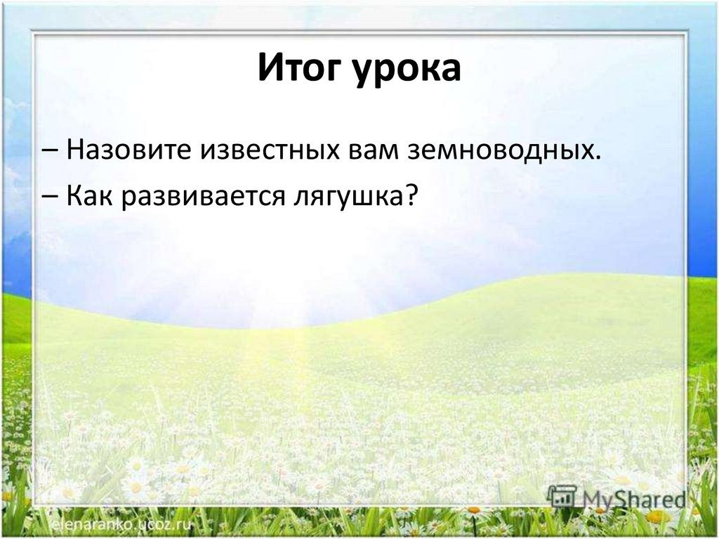 Жизнь земноводных весной 1 класс 21 век конспект урока с презентацией