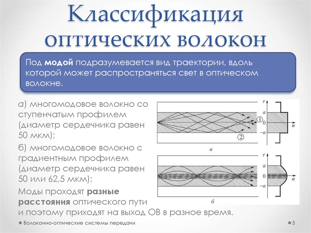 Разместите названия оптических структур