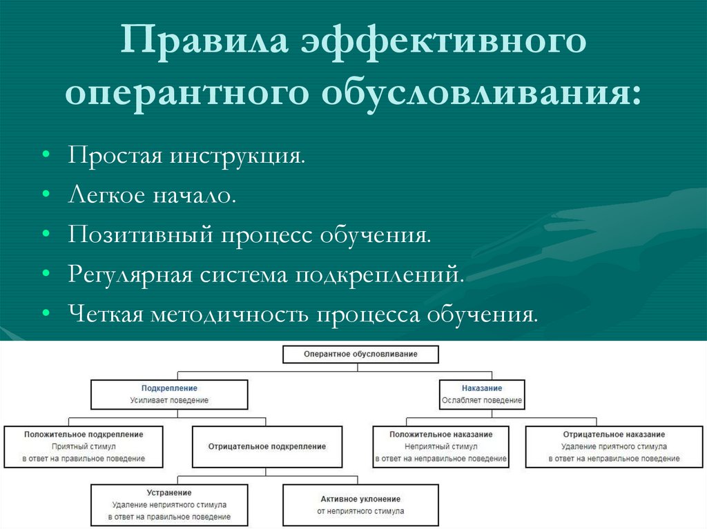 Схема классического обусловливания принадлежит