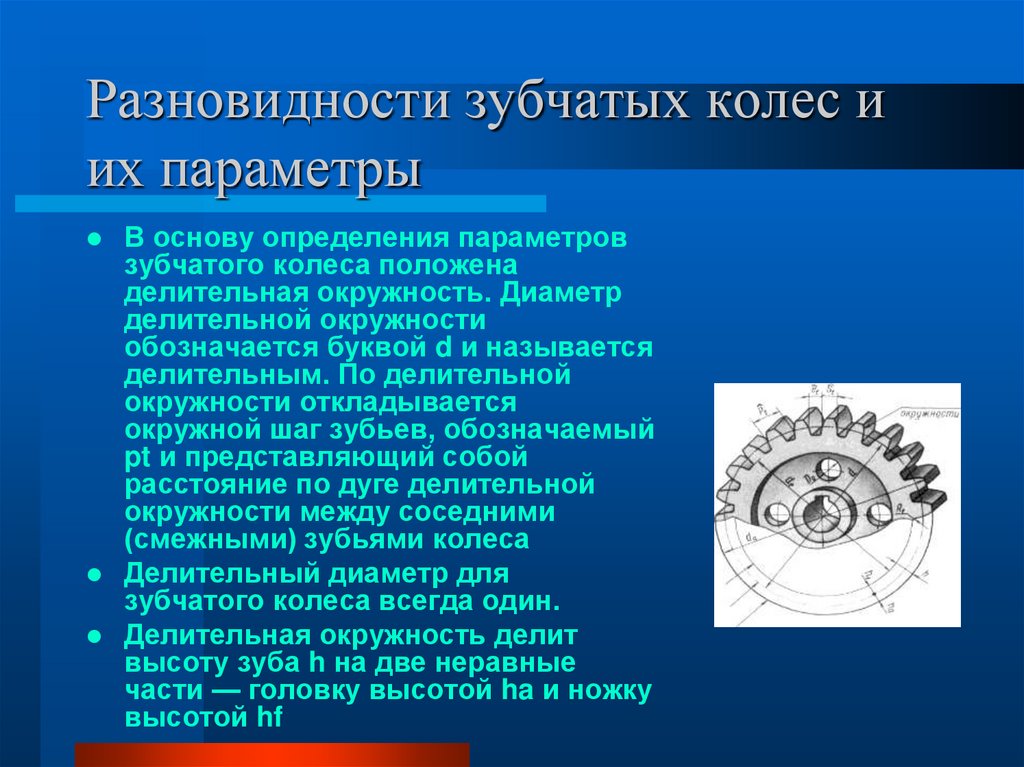 Разновидности зубчатых колес. Параметры зубчатого колеса. Делительная окружность зубчатого колеса это. Делительный диаметр зубчатого колеса.