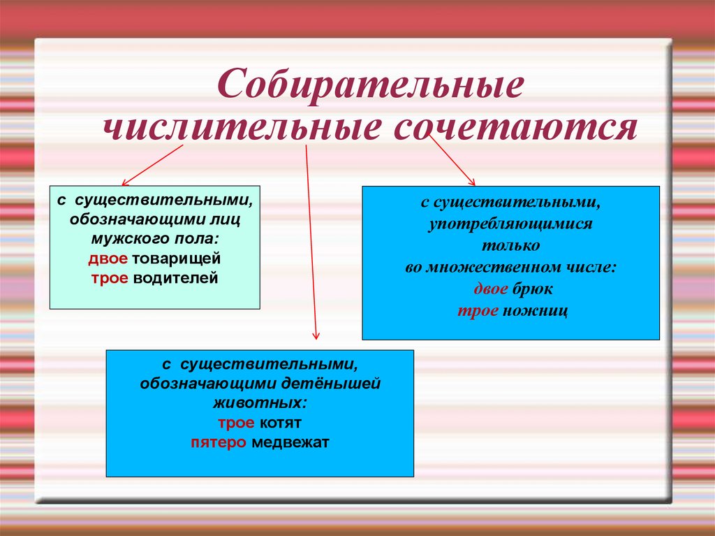 собирательные числительные сочетаются
