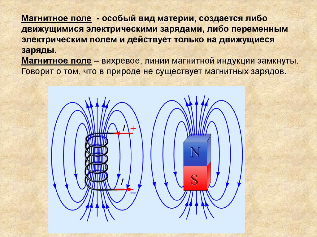 Магнитные дом