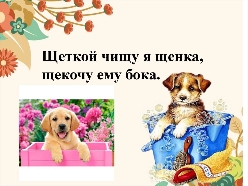 Щенок и щетка рисунок