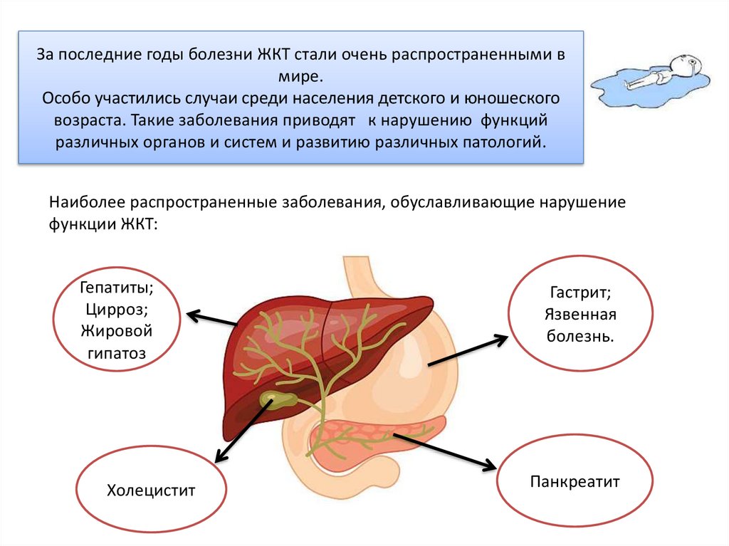 Лс влияющие на жкт презентация