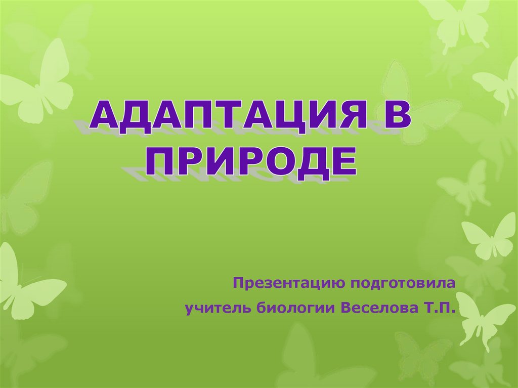 Адаптация в природе - презентация онлайн