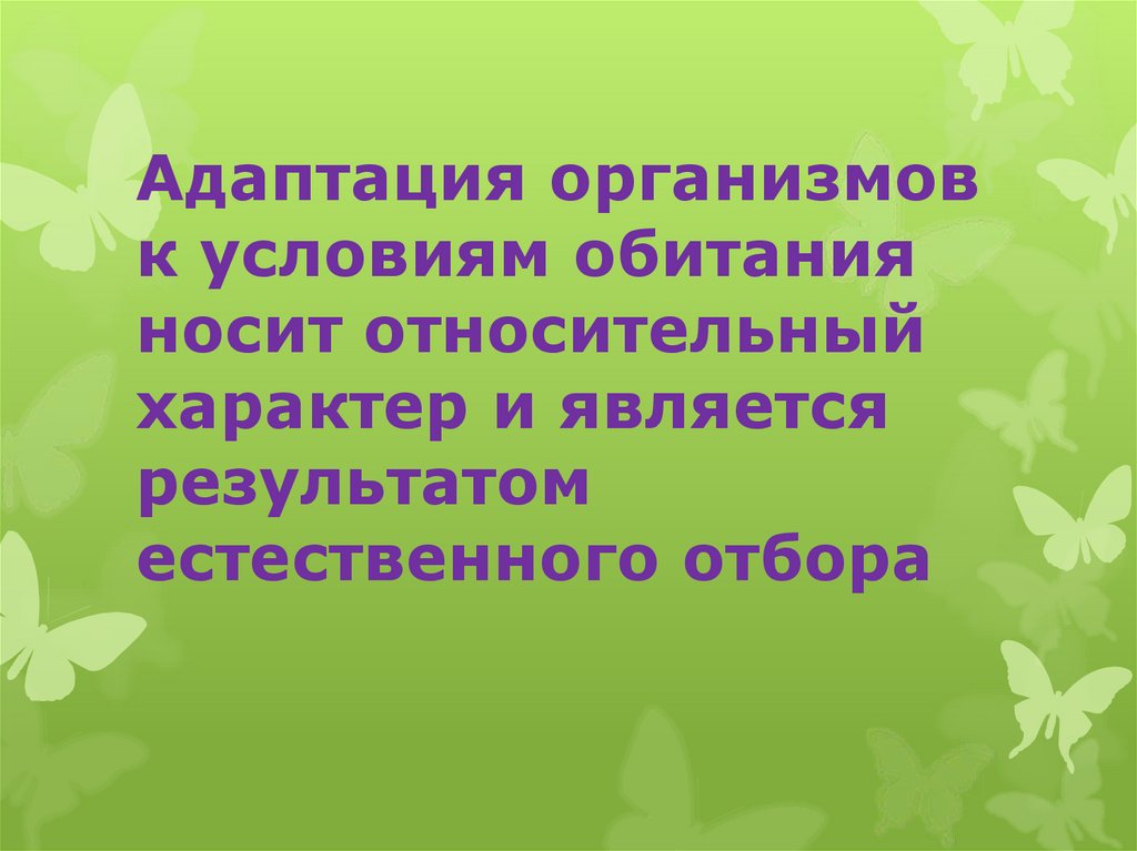 Адаптация в природе - презентация онлайн