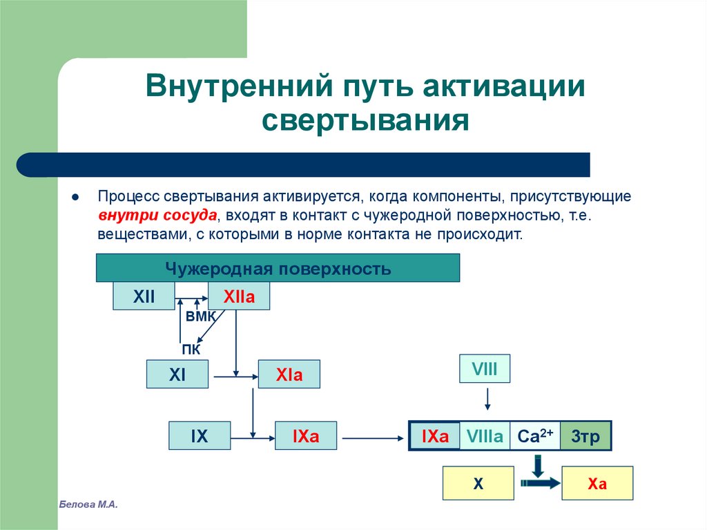 Внутренний 15. Внешний и внутренний пути активации процесса свертывания крови. Внутренний путь активации свертывания крови. Внутренний пути активации процесса свертывания крови это. Внутренний путь активации гемостаза.