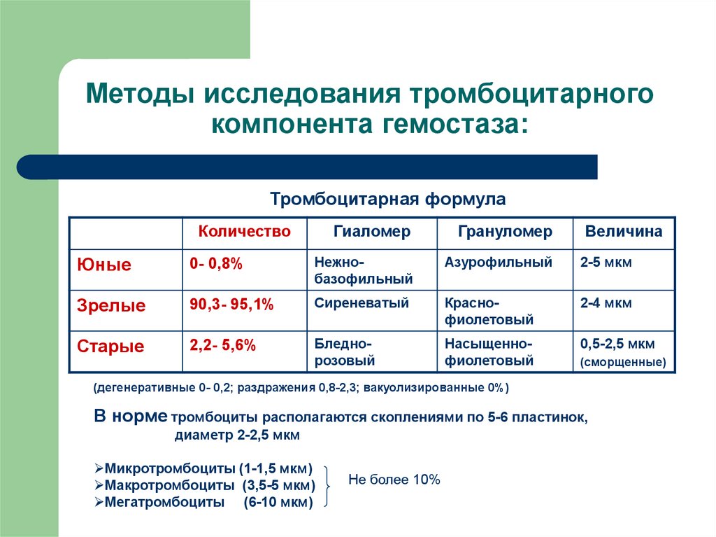 Роль сосудистой стенки в гемостазе