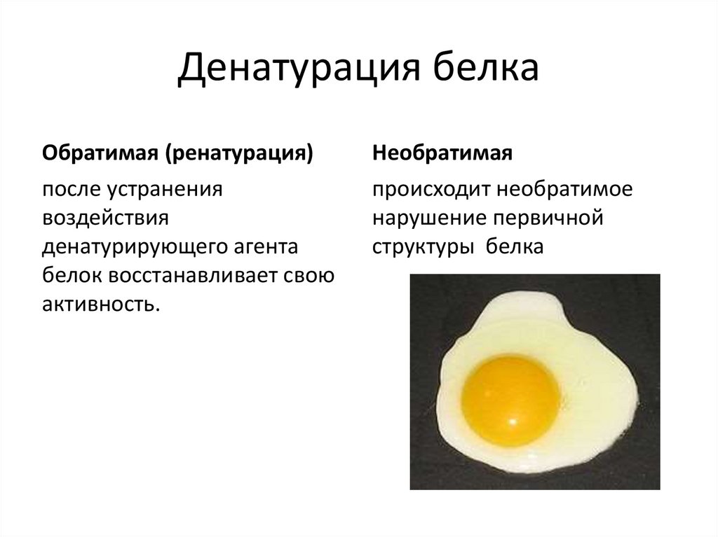 Денатурация белка картинка