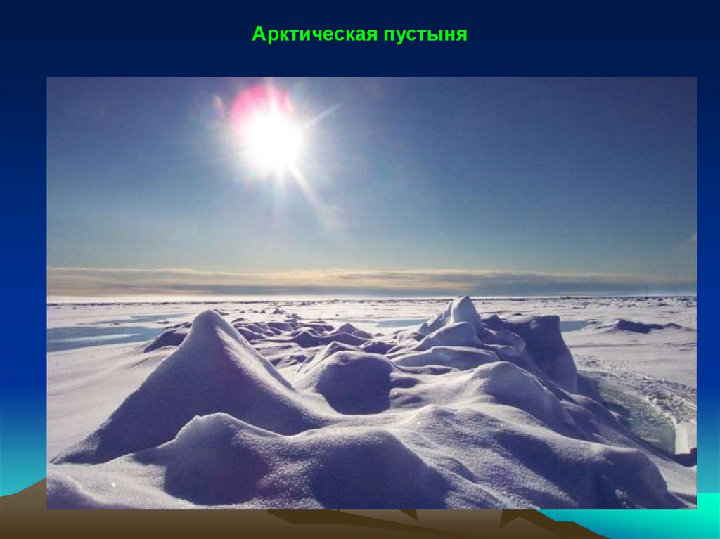 Сколько суток в арктических пустынях