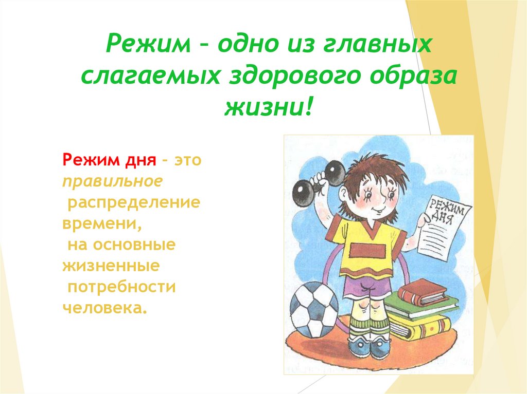 Наиболее важным слагаемым здорового образа является