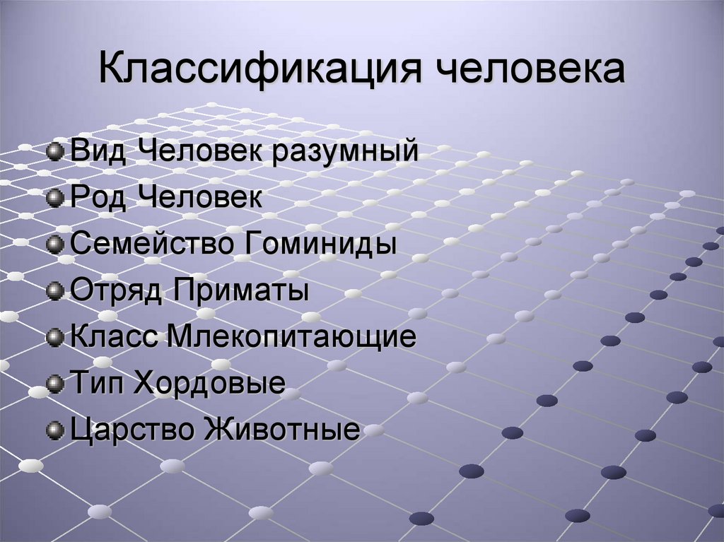 Схема классификации человека разумного