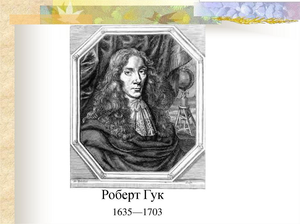 Гук физика. Роберт Гук (1635-1703). Робертом Гуком (1635 - 1703). Портрет Роберта Гука. Роберт Гук физик.