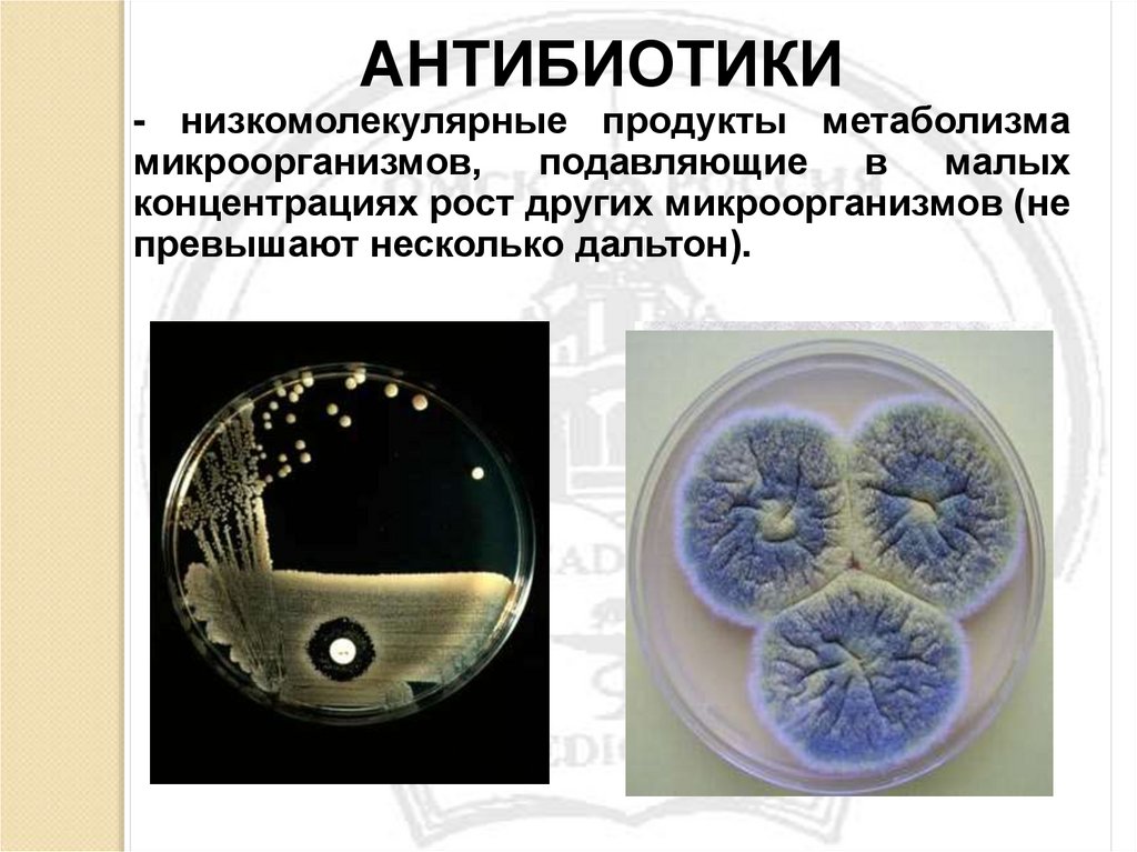 Продукты обмена клетки. Продукты метаболизма бактерий. Антибиотики низкомолекулярные. Антибиотики продукты метаболизма бактерий. Продукты обмена веществ у бактерий.