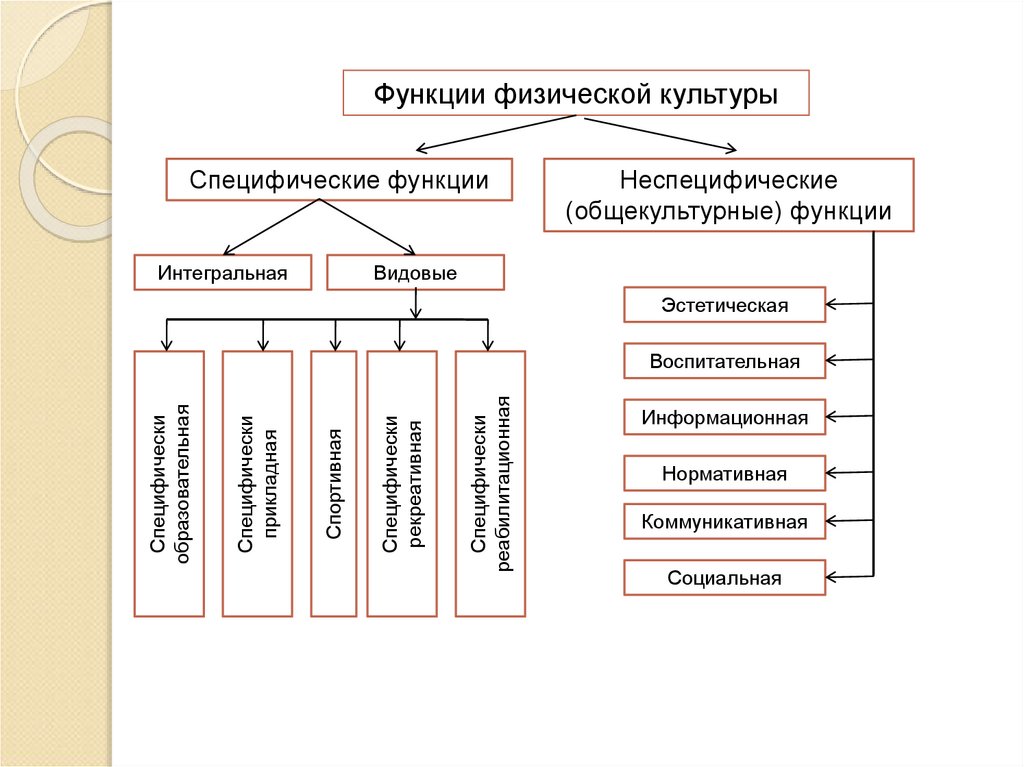 Специфические функции физической культуры