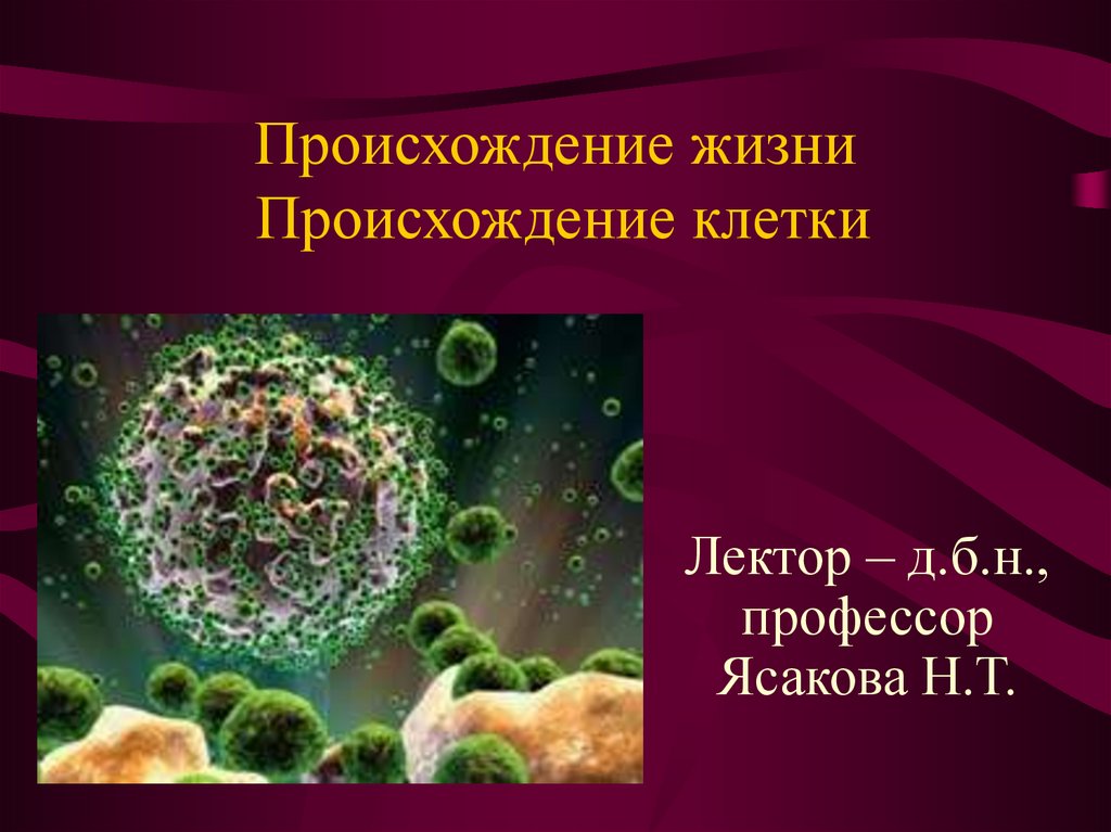 Первые клетки возникли. Возникновение клеточной организации живого. Гипотеза клеточного происхождения вирусов.