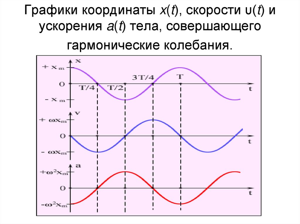 График колебаний x t