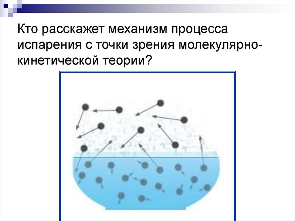 Кто расскажет механизм процесса испарения с точки зрения молекулярно- кинетической теории?