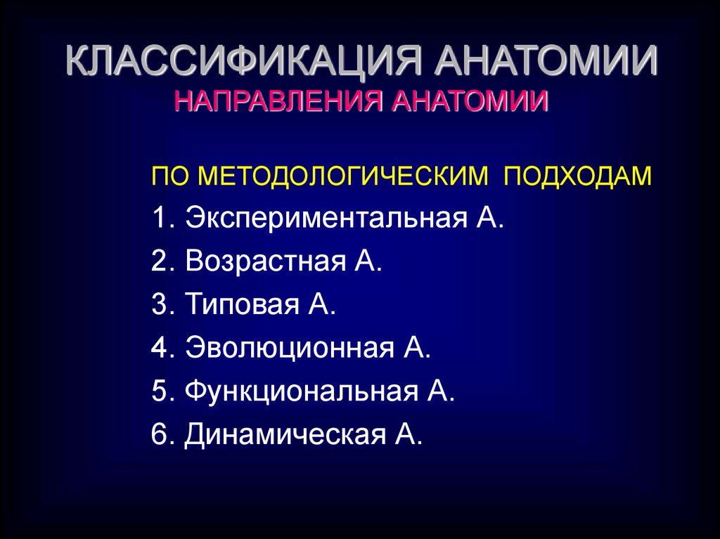 Классификация анатомии. Классификация анатомических наук. Основные направления анатомии. Классификация анатомических дисциплин.