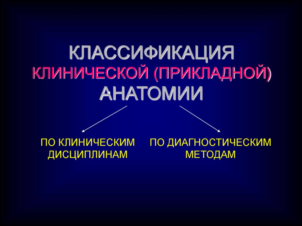 Содержание клинической анатомии