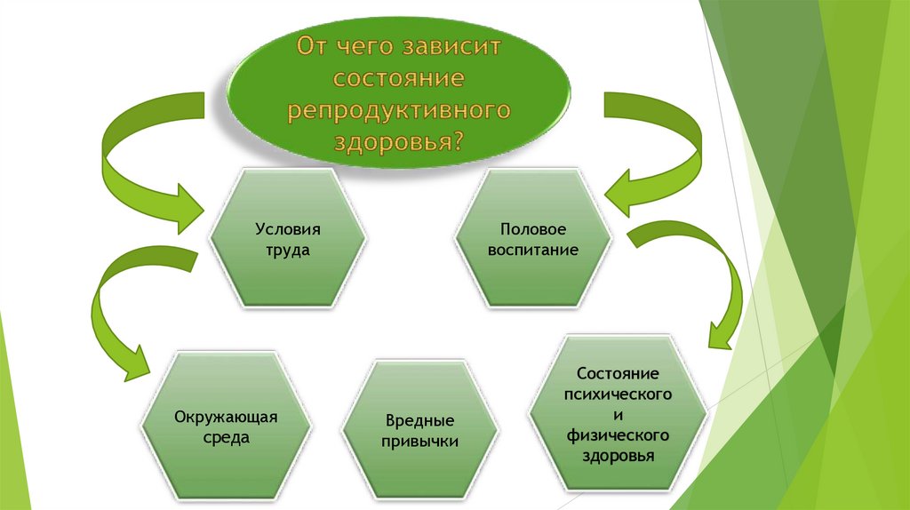 Репродуктивное здоровье составная часть здоровья человека и общества обж 8 класс презентация