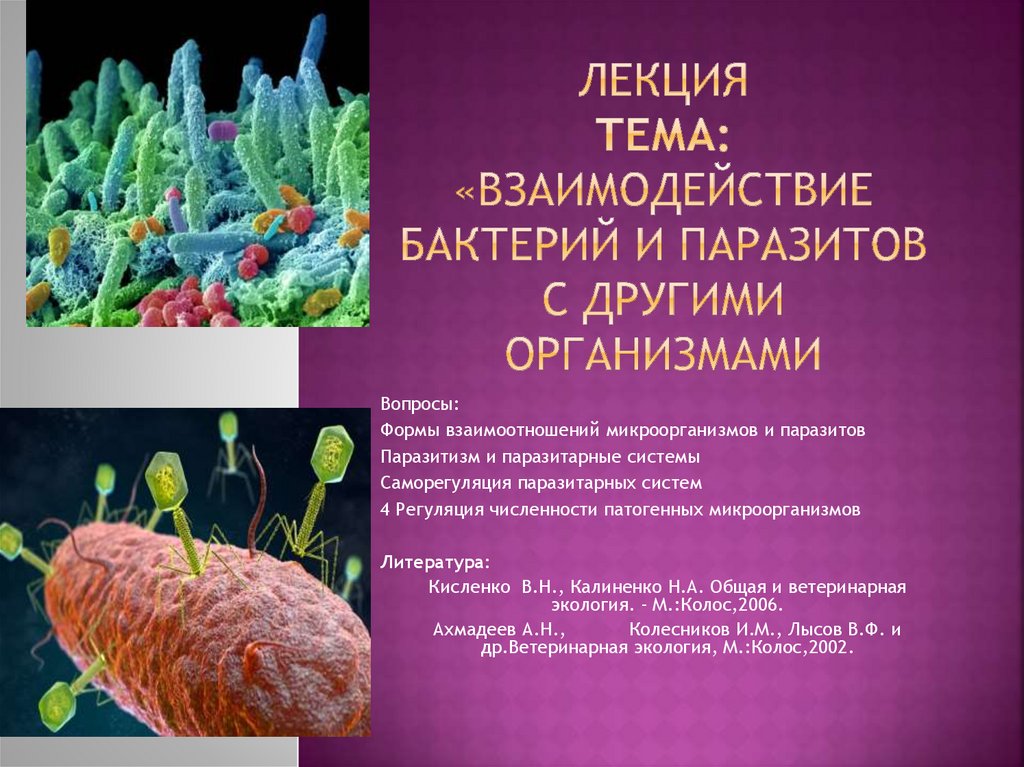 Взаимосвязь бактерий. Взаимоотношение паразита и паразита. Классификация паразитов по времени взаимодействия. Взаимоотношения микроорганизмов с животными.