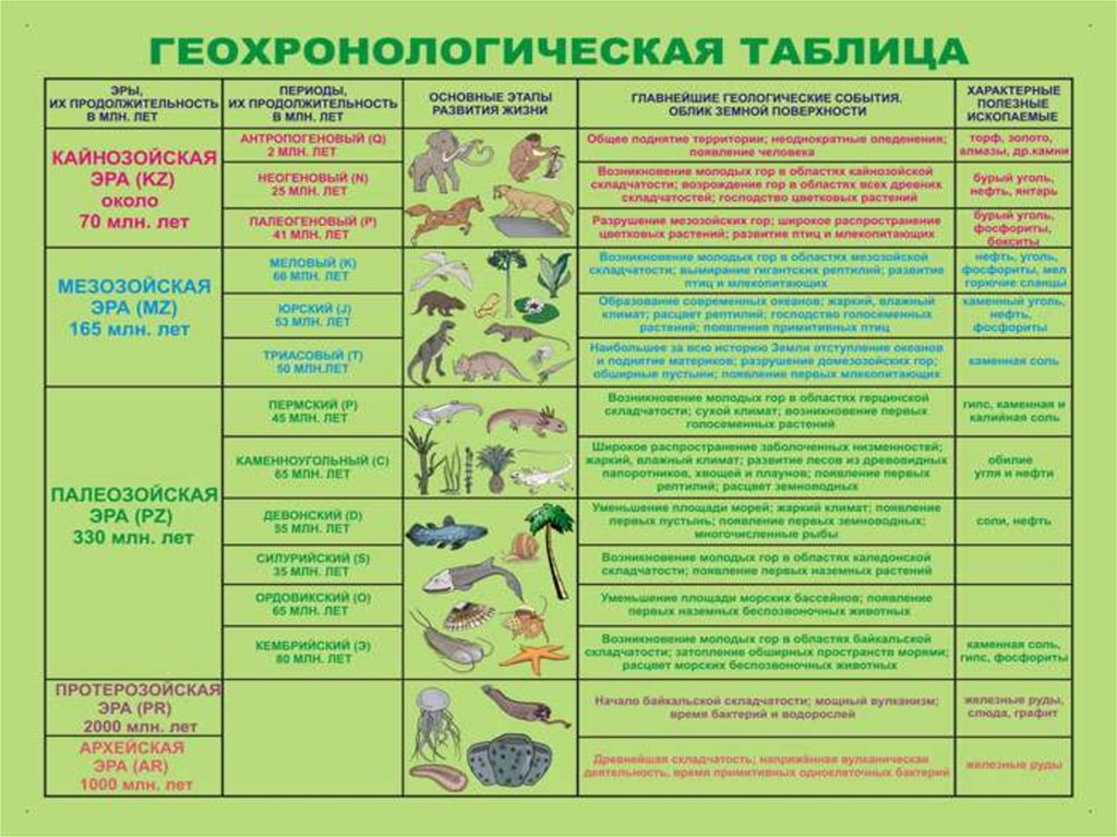 Эпохи и эры земли. Геохронологическая таблица Эволюция растений. Таблица Геохронологическая таблица. Геохронологическая таблица эры и периоды. Геохронологическая таблица биология.