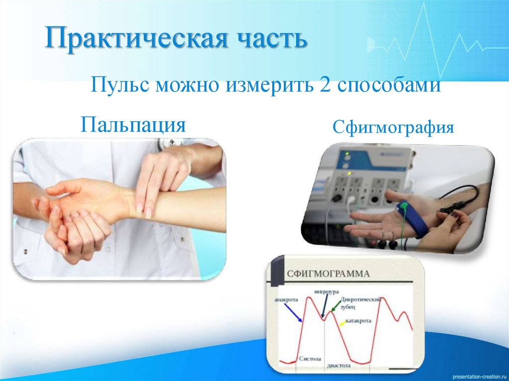 Информационно-творческий проект «О чем расскажет нам пульс человека ...