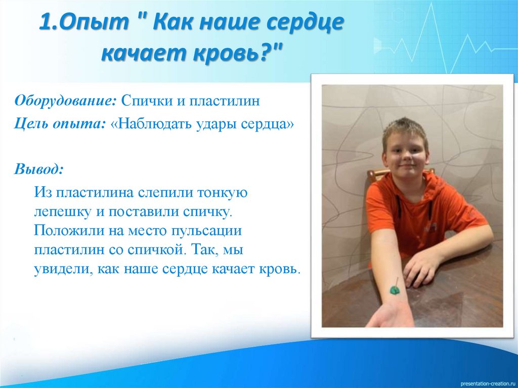 1.Опыт " Как наше сердце качает кровь?"
