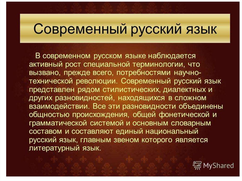 Презентация современный русский литературный язык