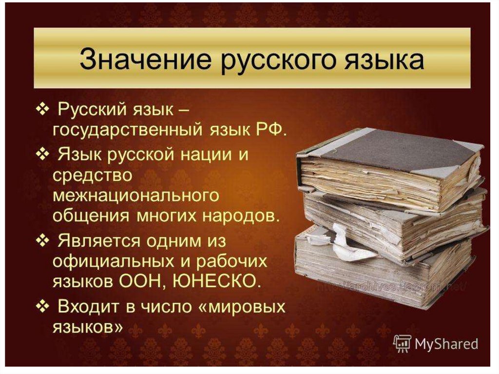 История русского языка проект