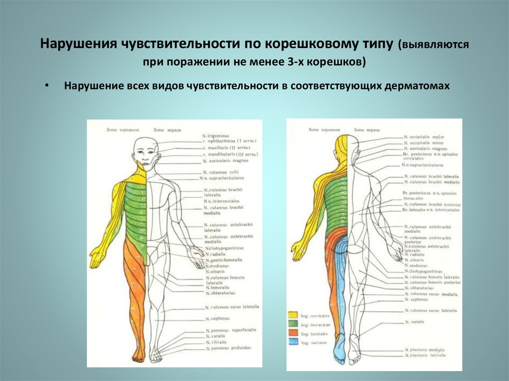 Нарушение чувствительности латынь термин