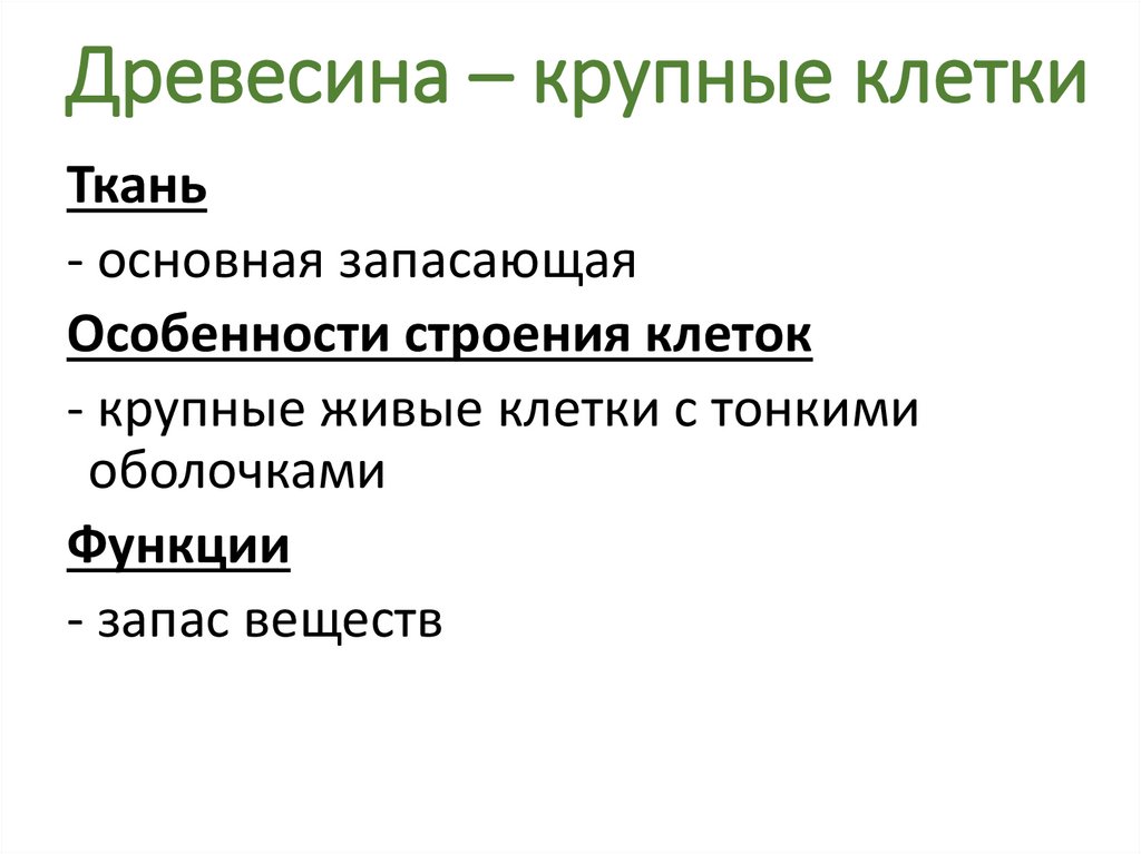 Особенности клеток. Особенности строения клетки волокна древесины. Особенности строения клеток древесины. Особенности строения клеток дерева. Древесина дерева особенности строения клеток.