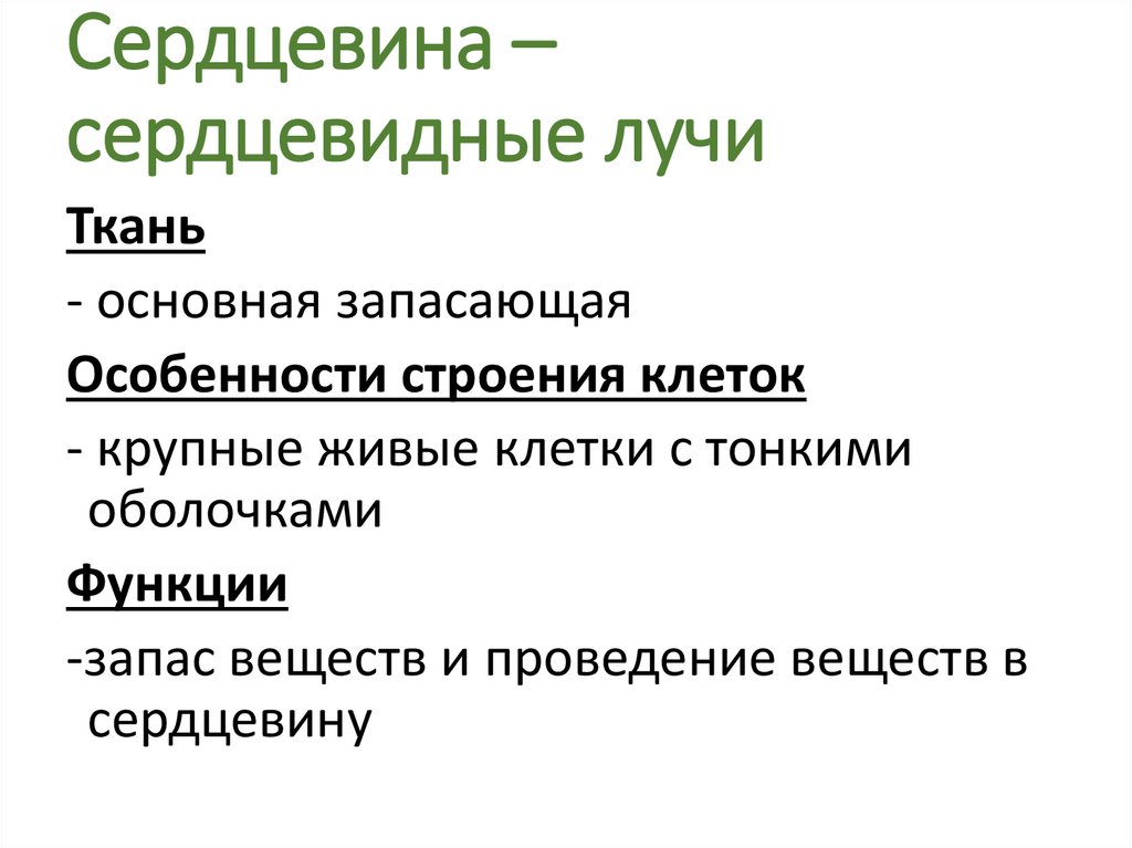 Сердцевина функции. Сердцевинные лучи особенности строения клеток. Сердцевинные лучи строение и функции. Особенности строения сердцевины.