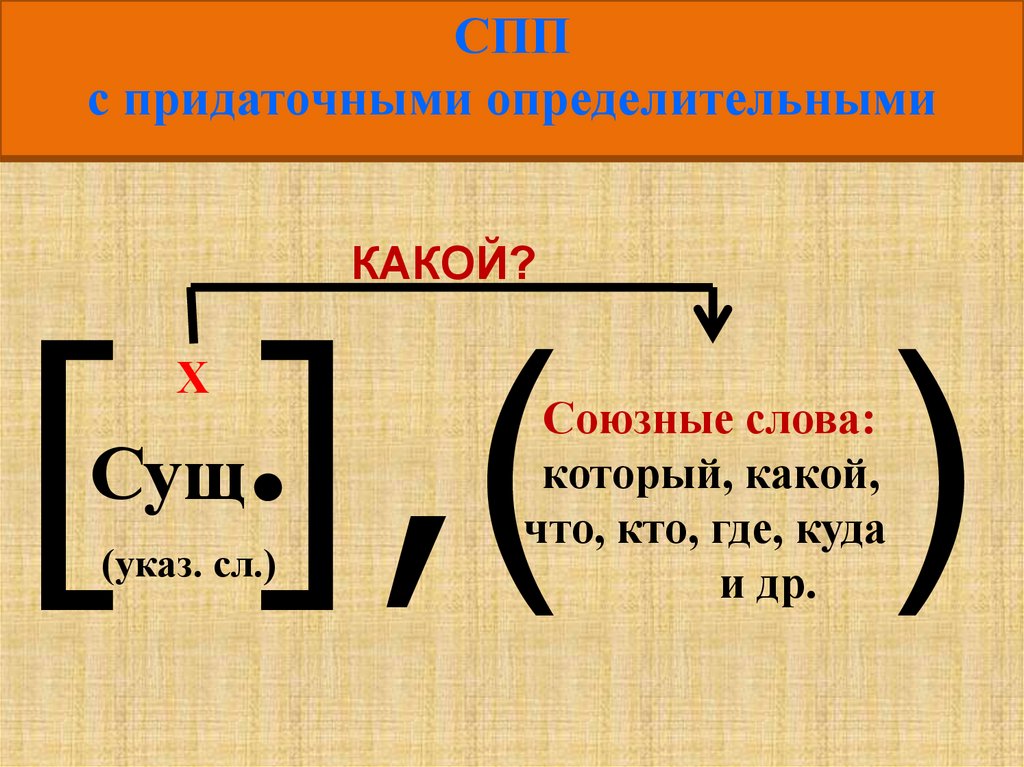 1 предложение с придаточным определительным