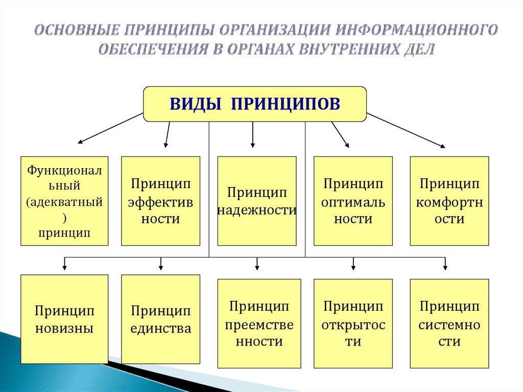 Основные принципы организации