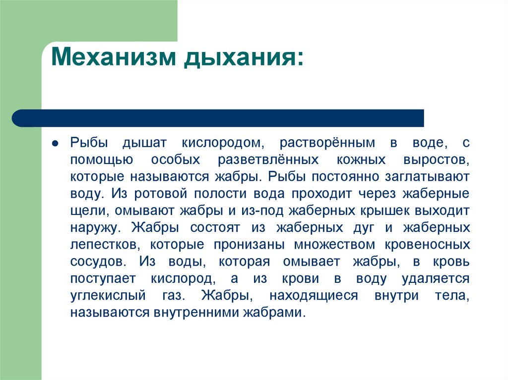 Дыхание рыб. Механизм дыхания рыб. Механизмы дыхания животных. 2 Механизма дыхания. Промежуточный механизм дыхания рыб.