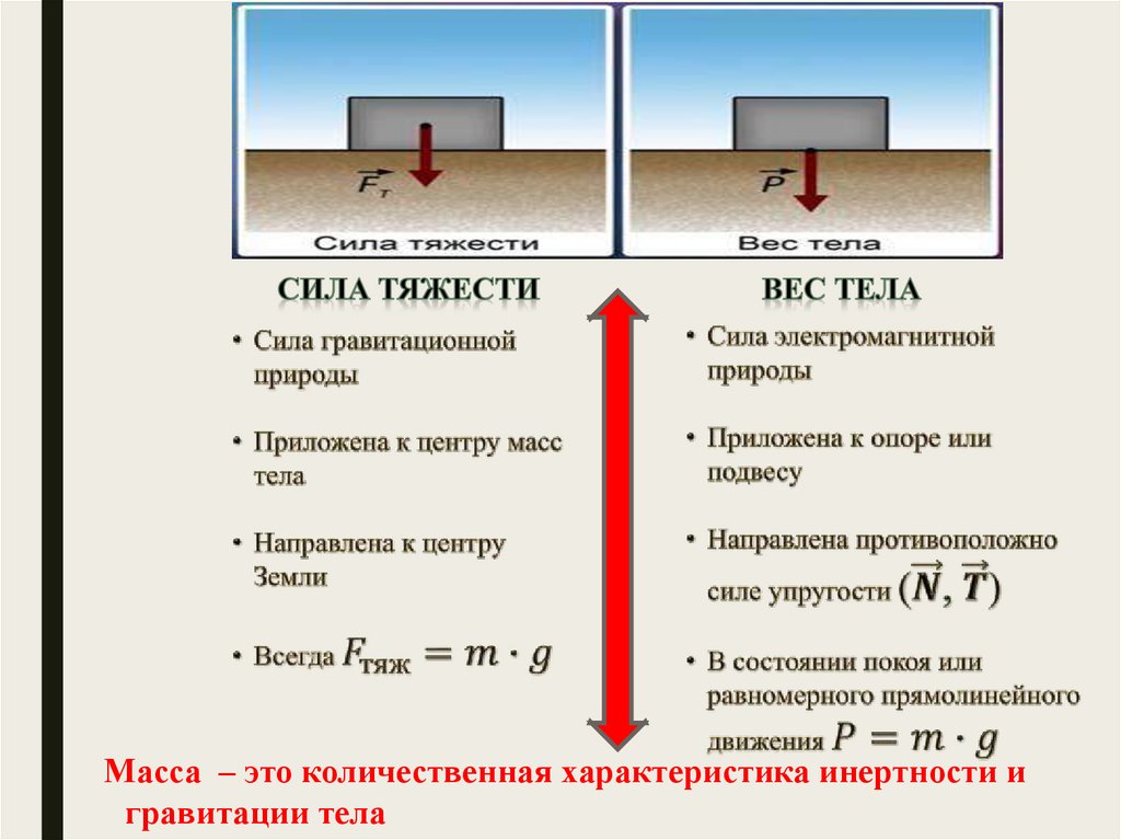 Чем отличается сила тяжести от веса тела